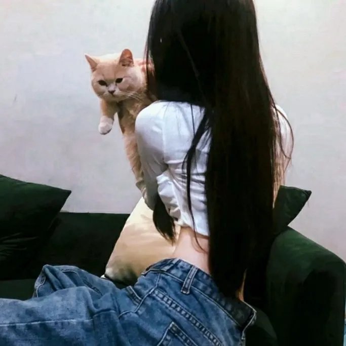 悬疑探案